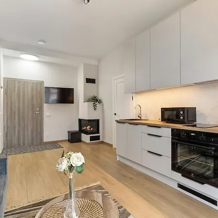 公寓 Niwaki Sodai No 1 By Urban Rent 维尔纽斯