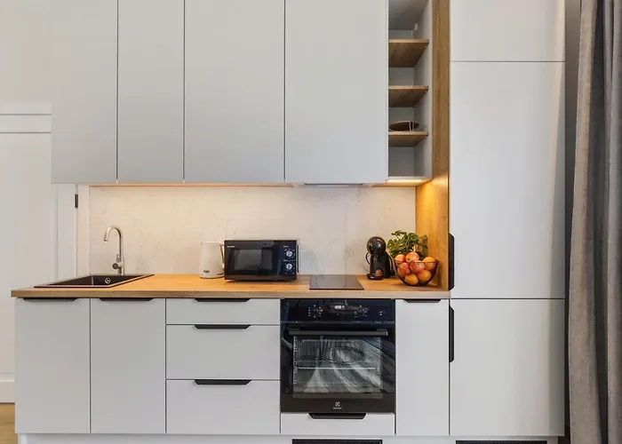 Butas Niwaki Sodai No 1 By Urban Rent Vilnius